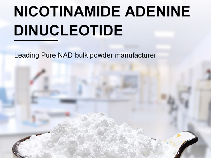 Nicotinamide adenine dinucleotide powder