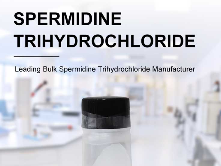 Spermidine Trihydrochloride powder