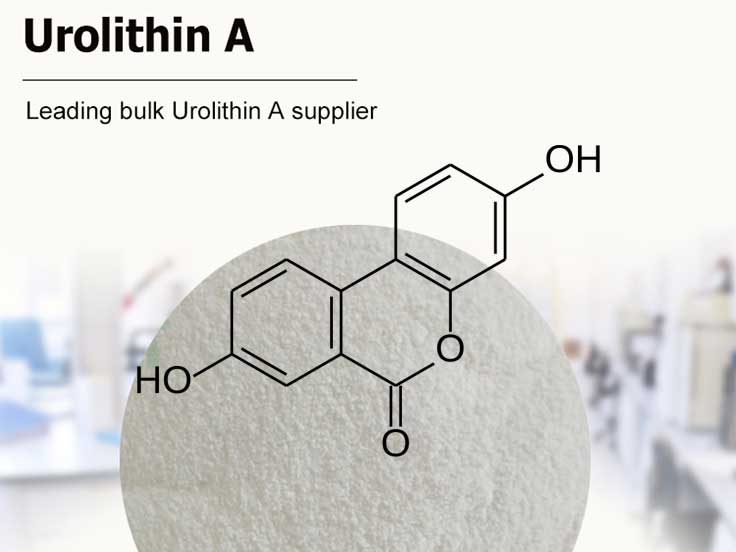 Urolithin A Powder
