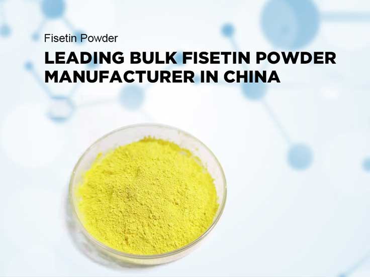 fisetin powder supplier