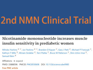 2nd NMN clinical trial increases muslce insulin sensitivity