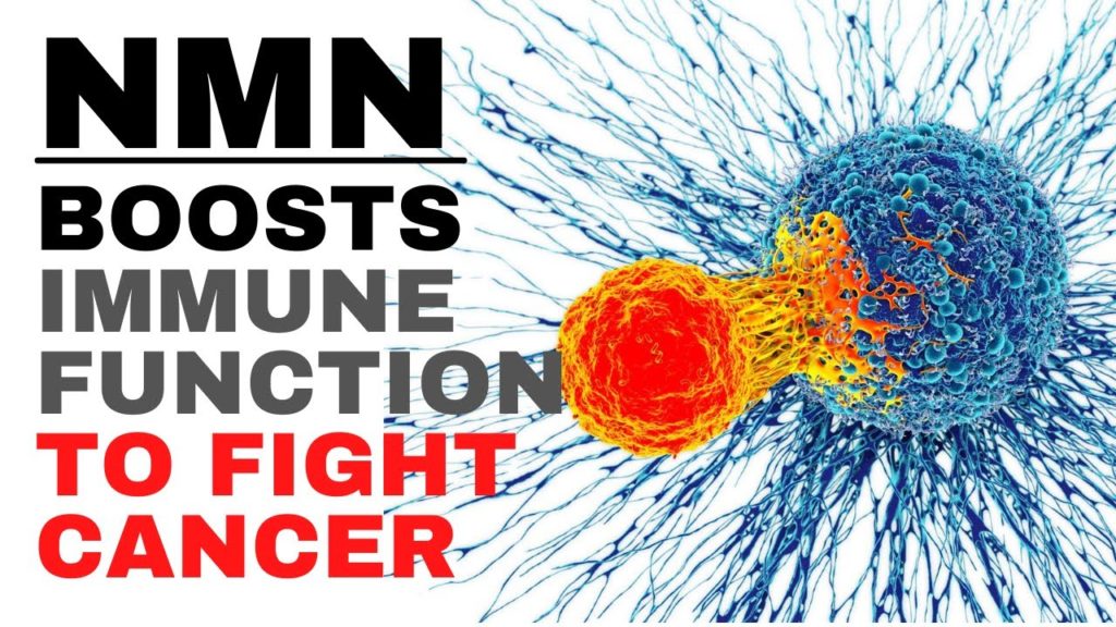 NMN boosts immune function to fight cancer