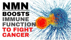 NMN boosts immune function to fight cancer