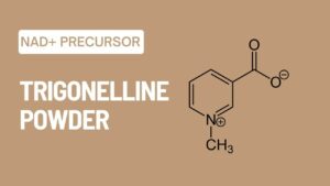 Trigonelline Powder Supplement A Novel NAD Precursor